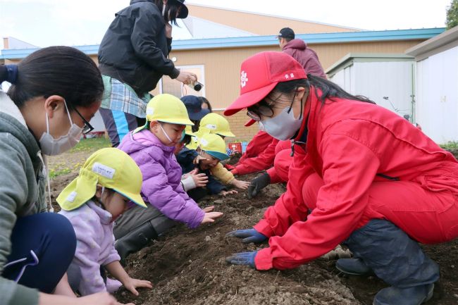 士幌高生と園児が農作業で交流