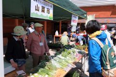 おすそわけ野菜市の会による山菜の販売