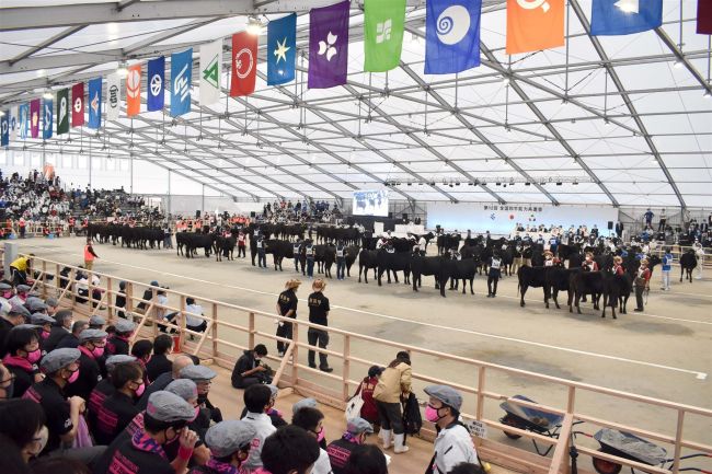 十勝が開催候補の「和牛全共」とは　コロナ下の昨年は３０万人、効果６６億円