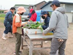 野菜苗を運ぶのを手伝う生徒ら