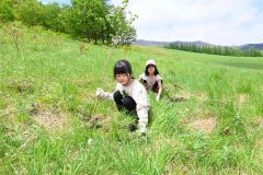 「十勝千年の森」で小学生らが植樹　清水 11