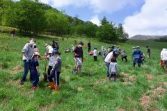 「十勝千年の森」で小学生らが植樹　清水 9