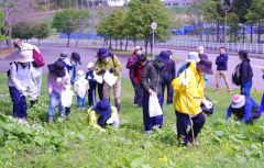 坂下さん（手前の黄色い服）の案内でミツバを採る参加者たち