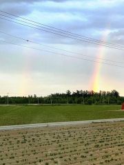 竜巻が通過した後には２本の虹が発生した（３０日午後６時半ごろ、帯広市昭和町で。戸井康浩さん提供）