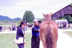審査を受ける馬。左が審査員の田中さん