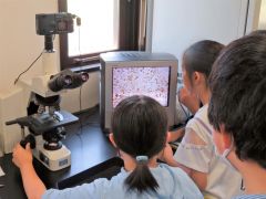 汚水中の微生物を観察する児童たち