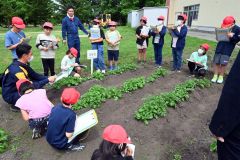 学校菜園で作物栽培のポイントを聞く子どもたち