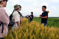 音更町内にある大野さん方の小麦畑を見学し、佐藤会長（右）に説明を受ける学生ら