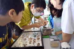 児童に昆虫の生態について説明する斎藤さん（左から２人目）