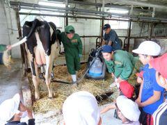 更農生に乳牛や酪農について説明を受ける更別小の３年生児童たち
