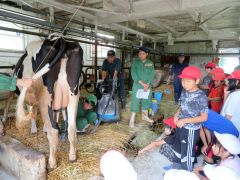 更農生に乳牛や酪農について説明を受ける更別小の３年生児童たち