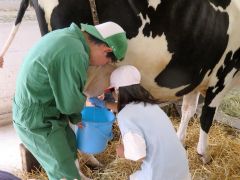 更農生に教わりながら乳搾りに挑戦する児童