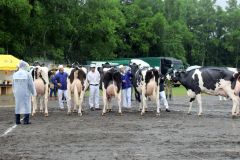 田中牧場の乳牛がグランドチャンピオン　清水 2