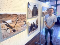 広尾町役場に展示している南極関連の写真パネルと塩原カメラマン