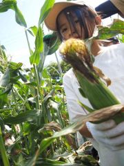 こん身の力で収穫したトウモロコシを手に満足な表情を見せる参加者

