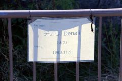 円山のホッキョクグマ「デナリ」天国へ　国内最多８頭の父　娘のアイラは帯広に 2
