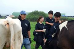 牛との触れ合いを事業化できないか模索する石川さん（右）と高木さん（左）
