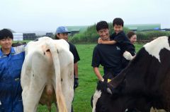 牛との触れ合いを事業化できないか模索する石川さん（右から３人目）と高木さん（左から２人目）