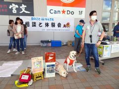 街頭募金を呼び掛ける盲導犬協会のＰＲ犬