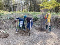 上士幌の三股で植林活動をするパークボランティア（環境省上士幌自然保護官事務所提供