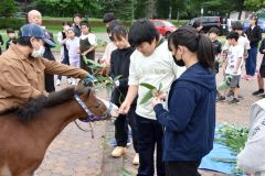 児童が馬と交流　開拓の歴史学ぶ　芽室南小学校