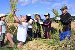 刈り取った稲の束ね方を学ぶ児童（須貝拓也撮影）