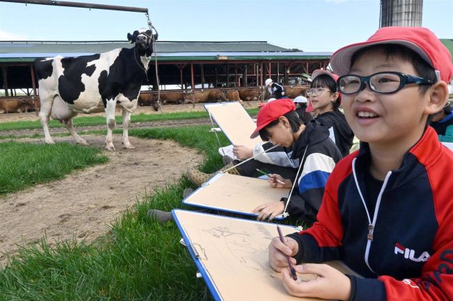 牛と触れ合い写生会　帯広清川小が加藤牧場で