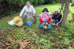 鹿追のキノコ博士・植田さんの庭でキノコ豊作