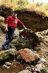 北海道石の露頭を背に解説する田中氏。下の茶色い岩はオパールが地表で形成されたことを示す植物の化石