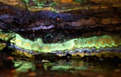 紫外線で蛍光する北海道石
