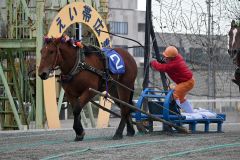 最強１歳ばん馬は十勝選抜のホクセイマリコ　帯広競馬場で全道祭典決勝大会