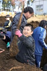 「とかち太郎」立派に育った　川西小でナガイモ収穫