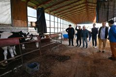 オークリーフ牧場の牛舎を見学する一行