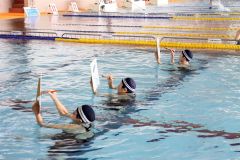 日本泳法公開