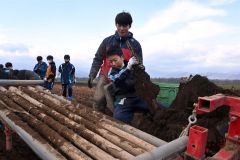 機械に乗って土がついたナガイモを引き抜く作業も体験した生徒