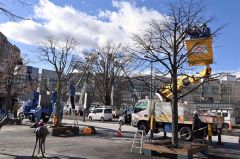 電飾の飾り付け作業が進む街路樹（１８日午前９時４５分ごろ、須貝拓也撮影）