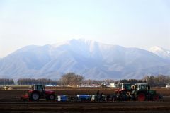 暦は「小雪」でも…雪遠く秋の陽気