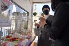 帯広市内のカフェ「Ｗｉｓｈ」で開かれた譲渡会で、保護猫の飼い方について質問する来場者（２５日）