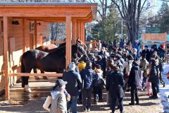 「馬ふれあい舎」が２日にオープン　１５年ぶりの新獣舎にこだわり満載