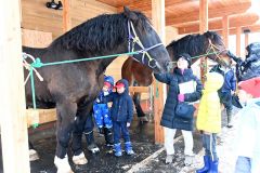 Ｚｏｏ寺子屋「ばん馬編」に過去最多９０人応募　園職員から種類や歴史学ぶ