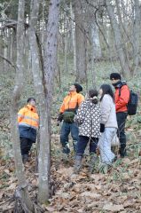 立ち枯れ木保全で合同研修会　池田