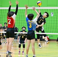 帯広ＪＪＢがＡブロックＶ　石井杯帯広市小学バレーボール