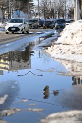 気温が上がり、車道に水たまりができた（３０日正午ごろ。市内西６南１９で。金野和彦撮影）