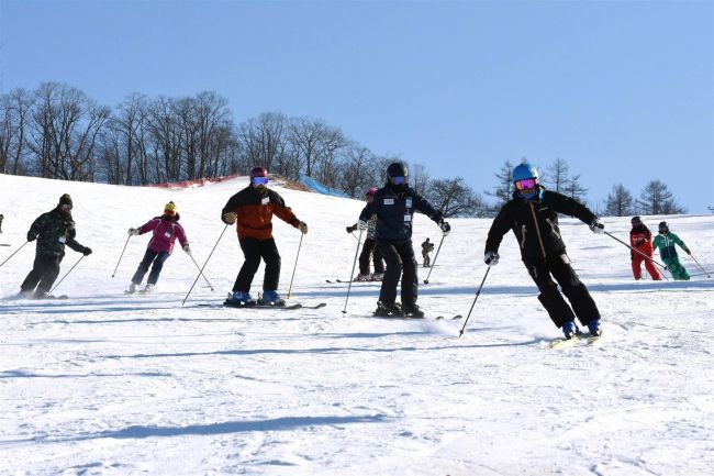 受講者８人が基礎をしっかり学ぶ　市民スキー教室