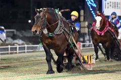 １番人気アオノブラック３年ぶり制覇　ばんえい十勝チャンピオンカップ