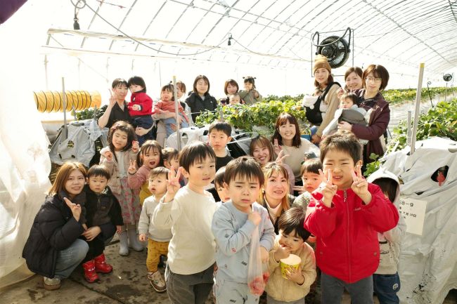 親子連れがイチゴ収穫体験楽しむ　足寄の子育て支援サークルひよこクラブ
