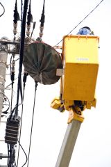 電柱の巣を撤去する北電ネットワークの社員