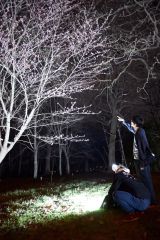 鈴蘭公園内で夜桜ライトアップの試験点灯を行う同青年部の山崎会長ら