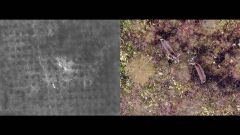ドローンで上空から発見したシカ。２００倍ズームに対応したカメラ（右）でシカの姿を鮮明に捉えており、赤外線カメラ（左）にもシカの白い影が映っている（三浦代表提供）