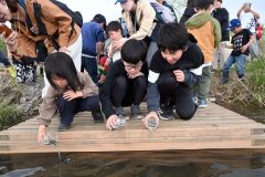 元気に戻ってきてね！　十勝川にサケの稚魚放流　十勝エコロジーパーク